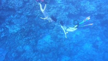 谁毁了高考状元的一生？他17岁上清华，34岁却沦为月薪2000的保安