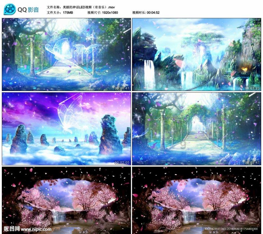 昆明动物园2只猫新进展！半夜起床吃喝排便，网友破防：心里踏实了